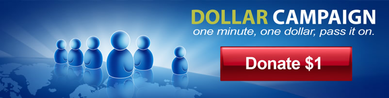 Dollar Campaign for HIBM and ARM